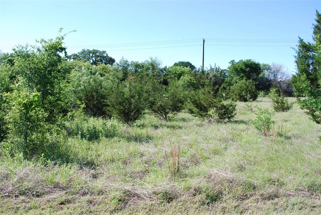 White Bluff #12 - Land