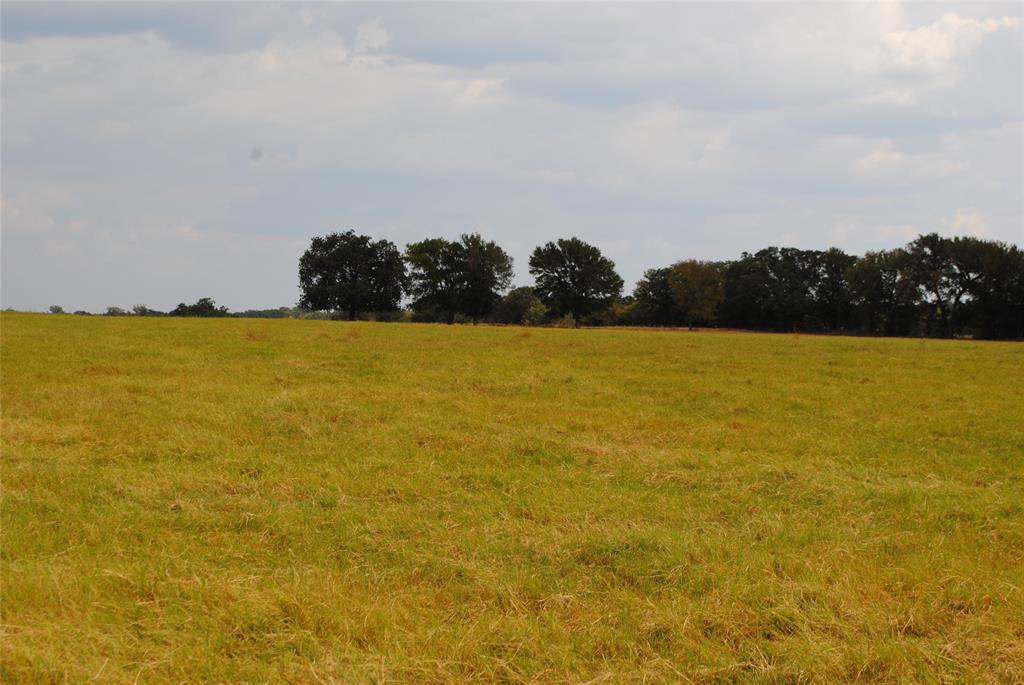 None - Land