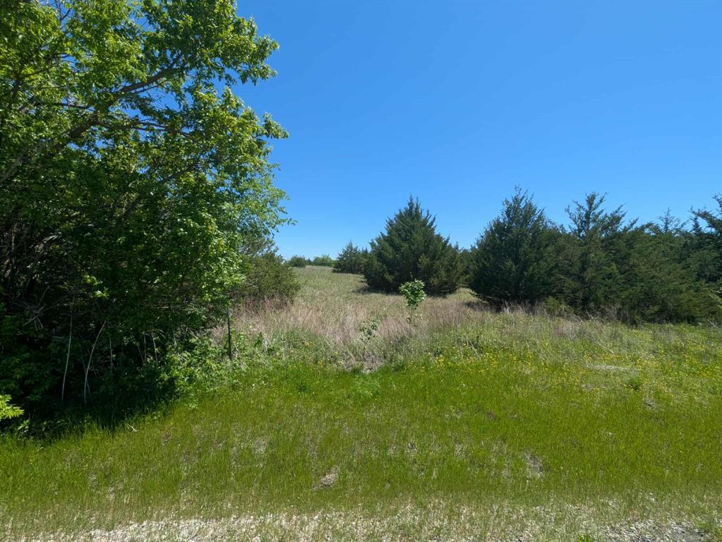 A0163 BENJAMIN CLARK SURVEY - Land