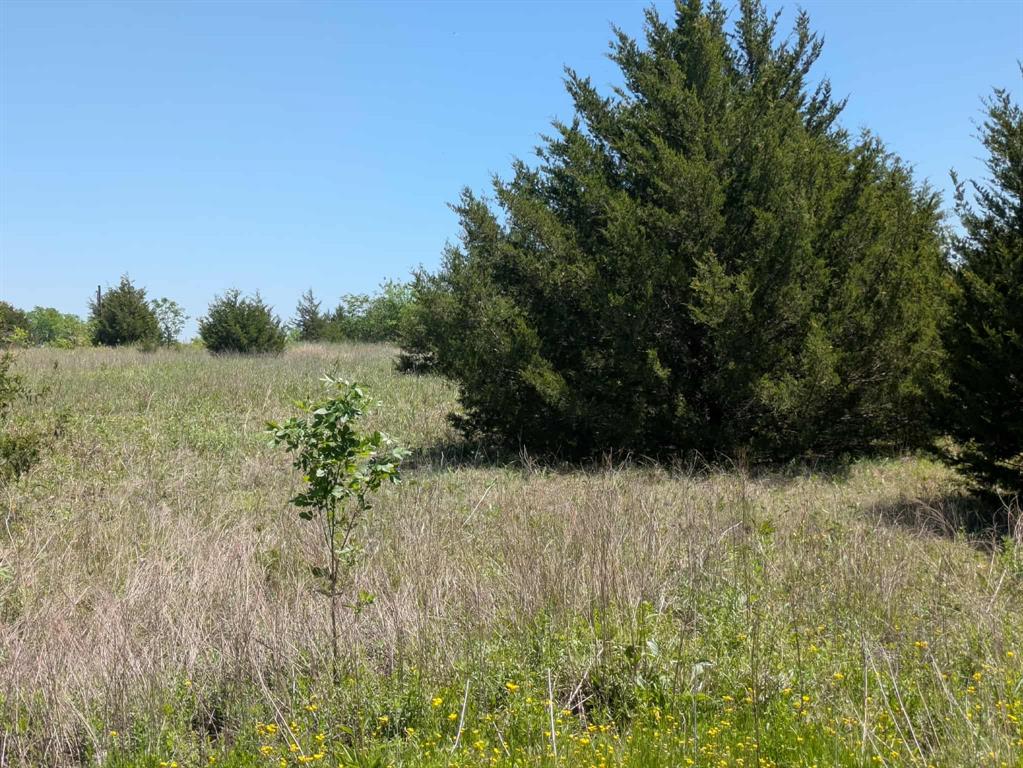 A0163 BENJAMIN CLARK SURVEY - Land