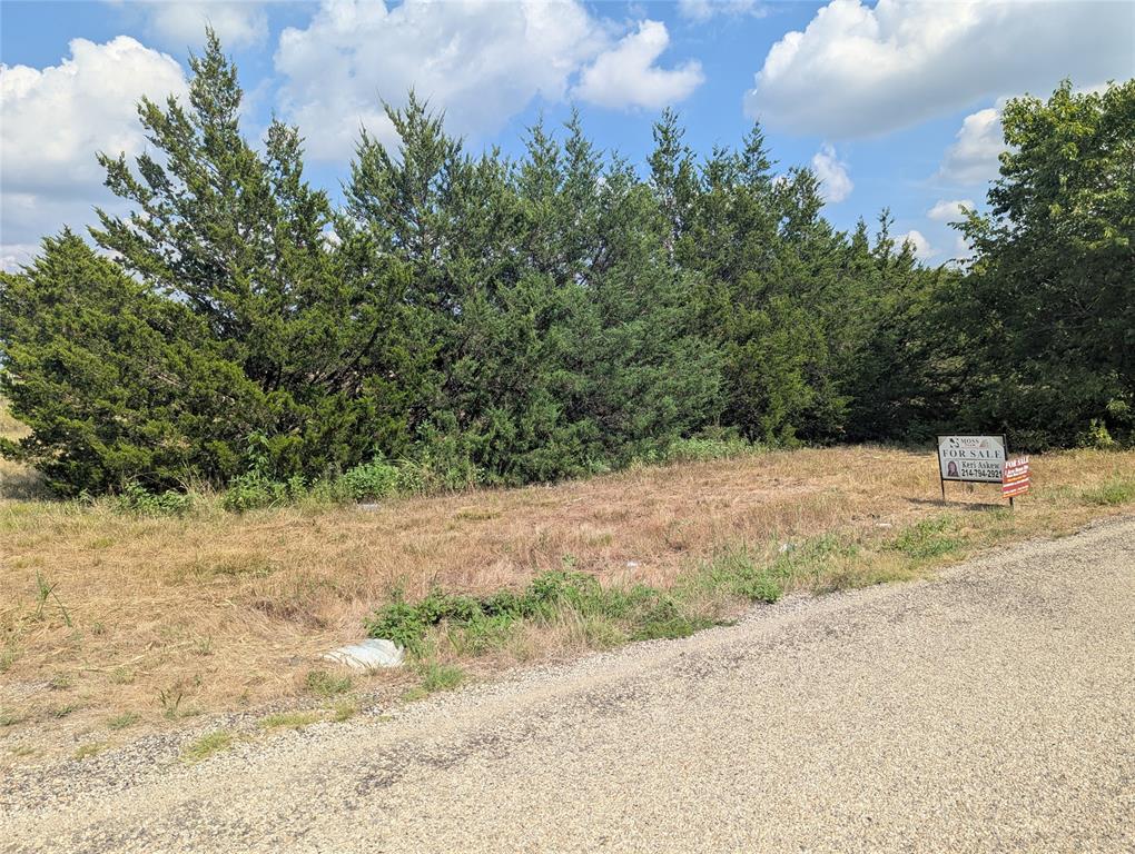 A0163 BENJAMIN CLARK SURVEY - Land