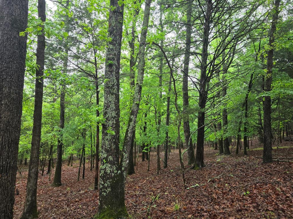 Discover the perfect blend of privacy, space, and natural beauty on this 5-acre homesite in Safari Waters Ranch, one of East Texas’ most desirable gated communities. Located in Larue, TX, this expansive tract offers a serene setting surrounded by towering trees and abundant wildlife—including the community’s signature zebra herd and exotic deer.

This amazing lot provides endless possibilities for your future build, whether you envision a full-time residence, a weekend retreat, or a long-term investment. With ample room for a custom home, shop, guest house, or outdoor living spaces, you can design your property exactly the way you want. Safari Waters Ranch is known for its exceptional amenities, including:

Three private, spring-fed lakes stocked for excellent fishing; Gated entry for peace of mind; Boat ramps and fishing piers for easy lake access and trophy bass fishing; RV parking area for owners and guests; and Exotic wildlife roaming freely, creating a truly unique ranch-style environment. Conveniently located just minutes from Athens, TX, and an easy drive to Tyler or Dallas, and just three hours to Houston. This property offers the tranquility of country living with the convenience of nearby amenities.

Whether you're looking to build now or secure a premium acreage lot for the future, this 5-acre tract delivers outstanding possibilities in a highly sought-after community.