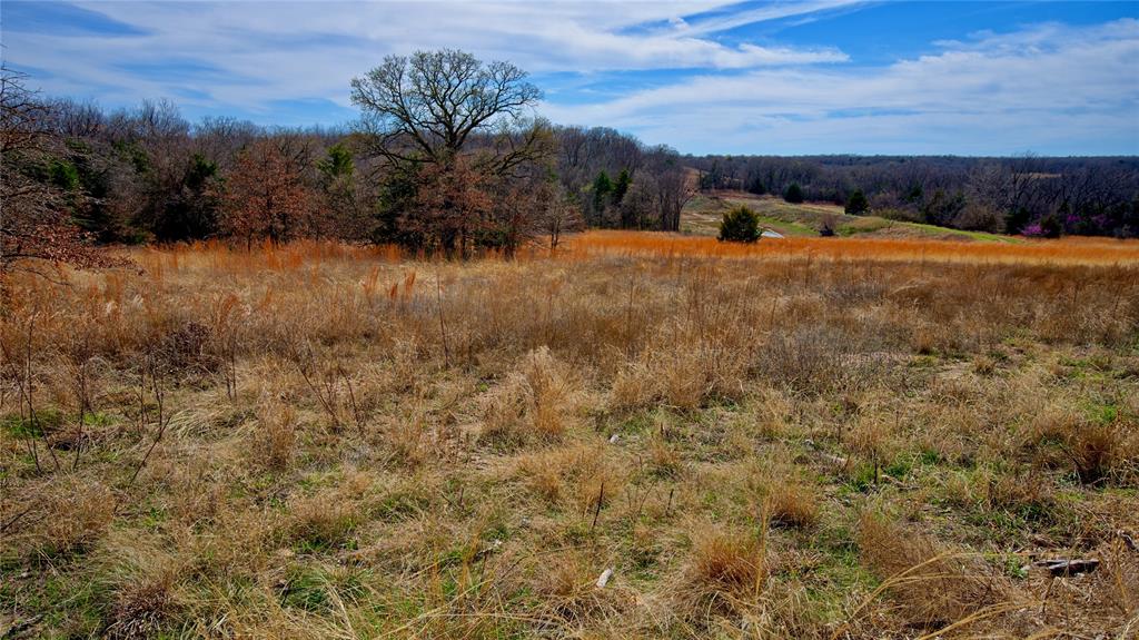 Red Oak Hills Sub - Land