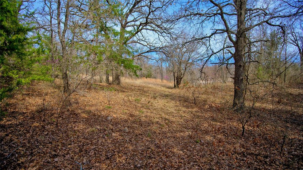 Red Oak Hills Sub - Land