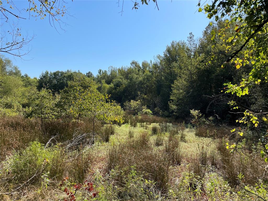 PINE MILLS - Land