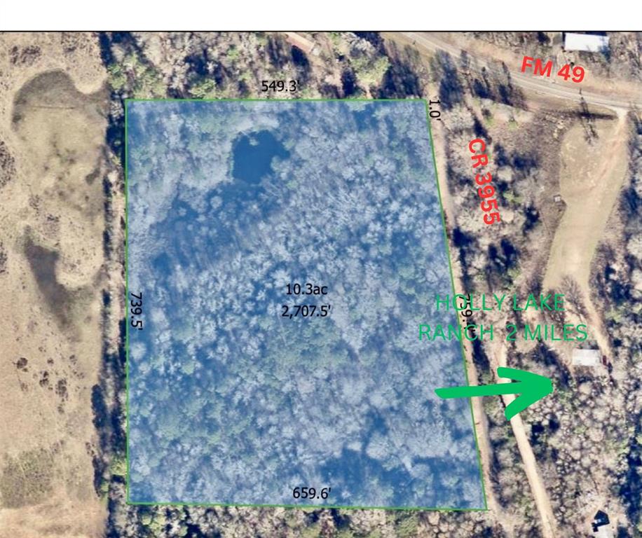 Just 2 miles from Holly Lake Ranch, and you get to have all the privacy you want without al the cost!  This diamond in the rough just needs a little TLC to have the oasis you deserve.  With a nice sized pond - that can be enlarged, and tons of trees, there are numerous locations to build your dream home. Great road frontage.  AG EXEMPTION for forestry is in place!  No value being given for mobile home and or abandoned personal property on site. Buyer, if needed, will need to purchase a survey.