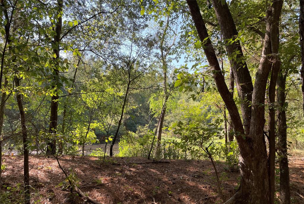 PINE MILLS - Land