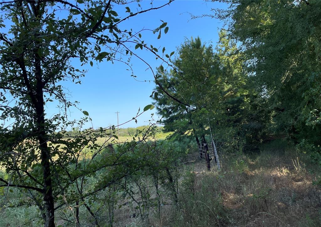 PINE MILLS - Land