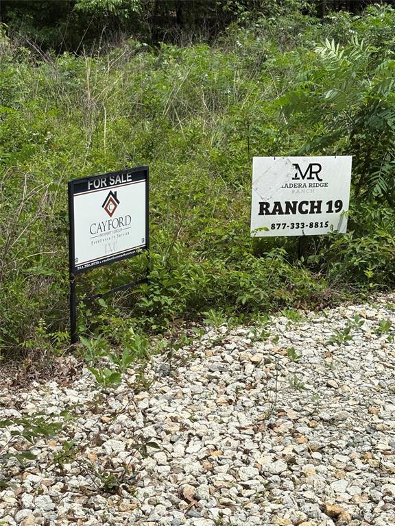 Madera Ridge Ranch - Land