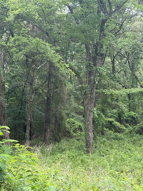 Madera Ridge Ranch - Land