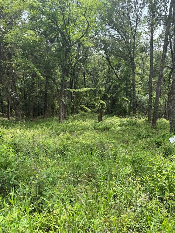 Madera Ridge Ranch - Land