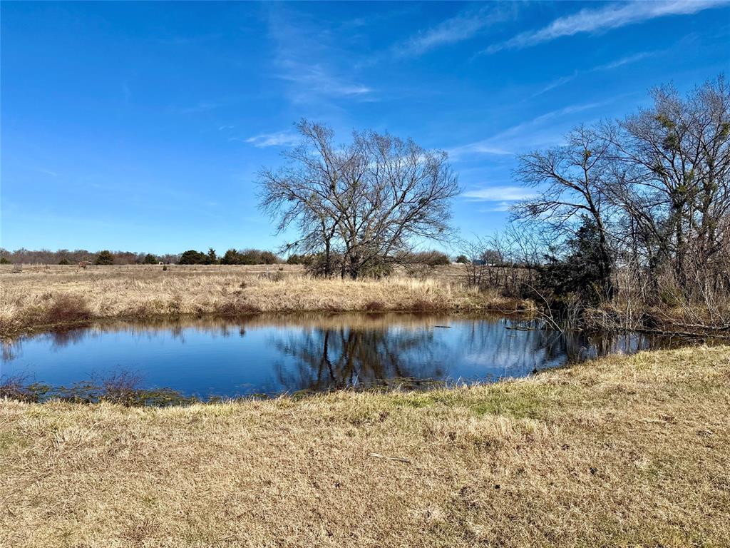Pecan Grove - Land