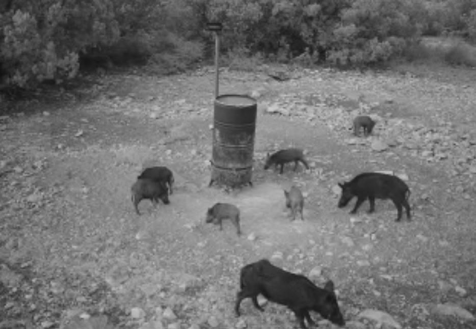 Red Bluff Creek E I - Farm