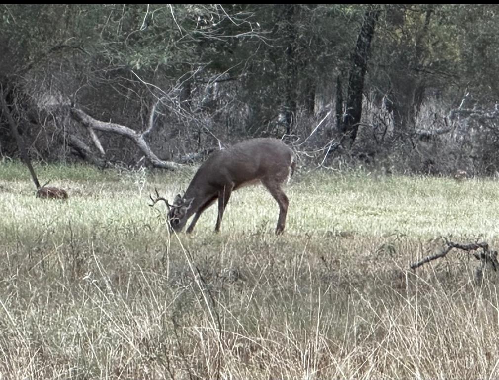 Red Bluff Creek E I - Farm