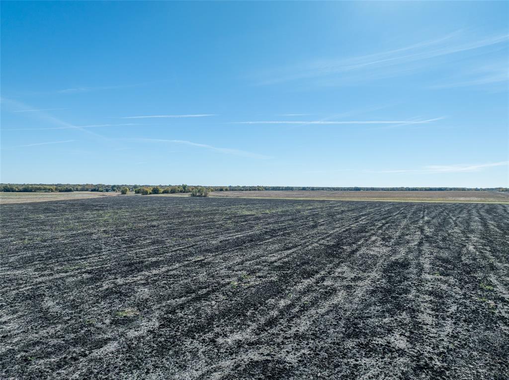 Located on FM 1501 in Lamar County, this productive farm offers excellent soils and is currently owner operated as a row crop operation. The property features excellent dark clay soils, well-suited for growing soybeans, corn, and milo, which have been the customary crops here. 
A 40x60 metal shop provides ample space for equipment storage, maintenance, and farm work. With dependable dirt and a functional layout, this farm is ready for continued production or expansion.
This is a strong opportunity for anyone looking to invest in quality farmland with proven yields and the infrastructure to keep operations running smoothly.

Disclaimer: All information provided herein was acquired from sources deemed reliable and is believed to be accurate. However, we do not warrant its accuracy or completeness and recommend that every item of interest be independently verified by Purchaser.