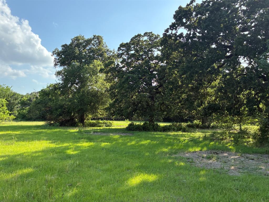 30.288 acres located in Northern Freestone County, Texas.  This tract of land offers multiple uses such as residential, farm and ranch, hunting, recreation and pond fishing.  This acreage is a good combination of open pastureland with several areas of large mature oak trees.  The land is perimeter fenced with barbed wire and also has one cross fence along with an older pole barn.   There are two ponds located on this property that offer the opportunity to pond fish and ample water sources for your livestock.  This land is unrestricted and would make a great homestead for anyone wanting to live in the country.  Cattle are currently being grazed on this acreage with Bermuda and Bahia grasses being the predominant warm season grass.  Electricity in close proximity and available along with rural community water line at the county road 1128.  This land is conveniently located approximately 85 miles south of Dallas, 150 miles north of Houston, 10 miles north of Fairfield and 10 miles from Richland Chambers lake.  Make your appointment today to view.