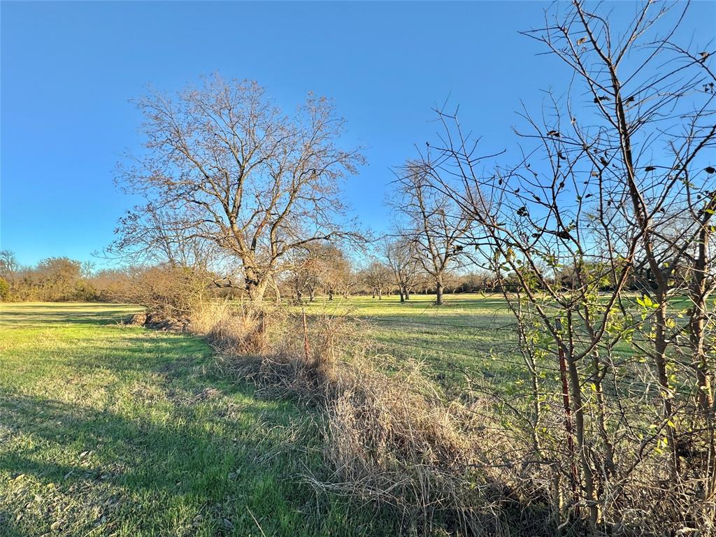 Discover the perfect blend of natural beauty and opportunity with this approximately 28-acre tract of rolling land. Featuring a picturesque pecan orchard, a winding creek, and breathtaking sunset views, this property offers a truly serene setting with endless potential. Located within the city limits, this rare find provides the convenience of city utilities while still delivering the peace and privacy of wide-open space. With two access points—one off Cole Street and another off  Rice Avenue—you’ll enjoy flexibility for future development, a private estate, or a recreational retreat. Whether you’re dreaming of building your custom home, creating a small ranch, or investing in land with incredible potential, this property is a blank canvas ready for your vision. Bring your livestock, your plans, and your imagination—this is where your dream can truly come to life.