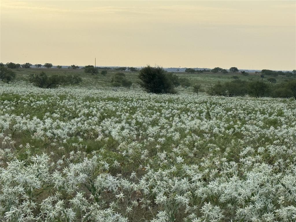 Mabel Estates Ph 2 - Land