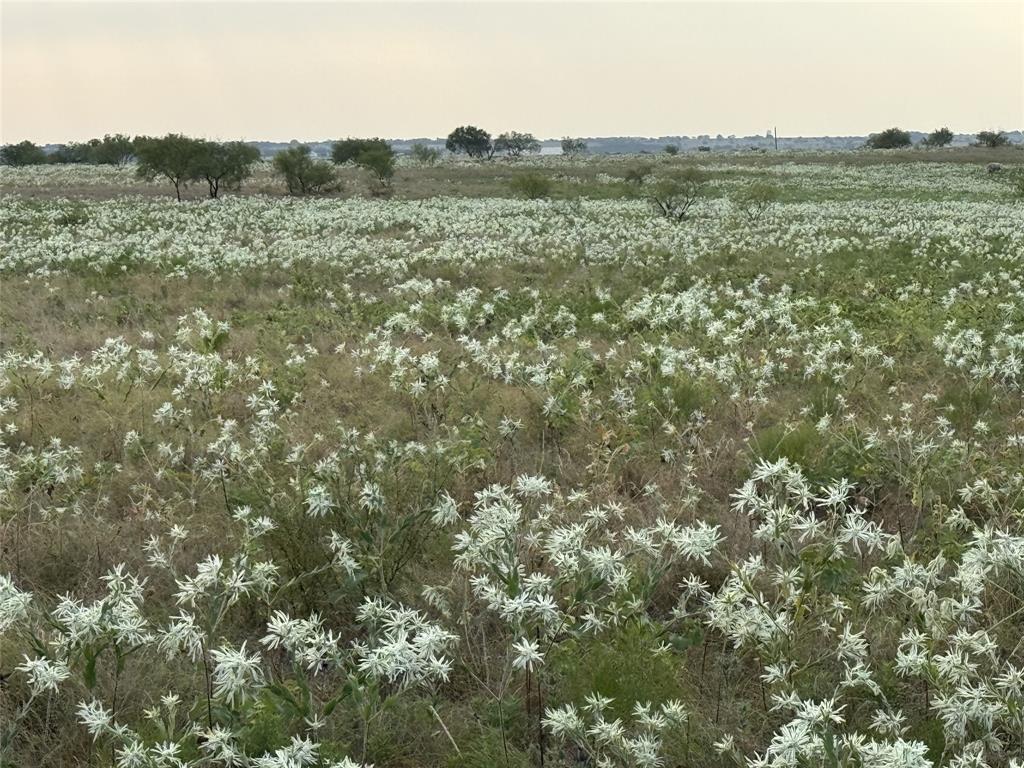 Mabel Estates Ph 2 - Land