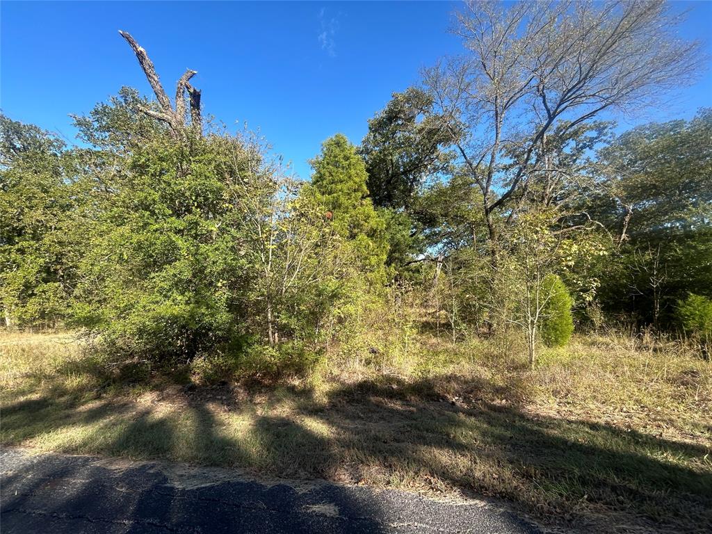Two adjacent lots located in the Point La Vista community. This is an excellent opportunity to build in a well-established
lake community offering amenities such as a community pool and boat ramp. These lots provide endless possibilities,
with potential access from the main entrance on Point La Vista Road or a secondary entrance on Boca Chica. Seller financing available. Lots: 57, 19 Henderson CAD Property IDs:276756,276718  All information is deemed reliable but
should be independently verified by the buyer and buyer’s agent.