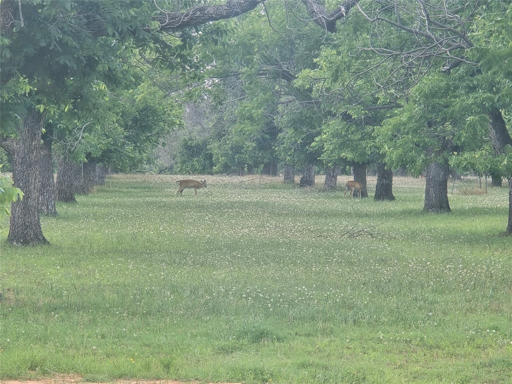 East Lake Ph 1 - Land
