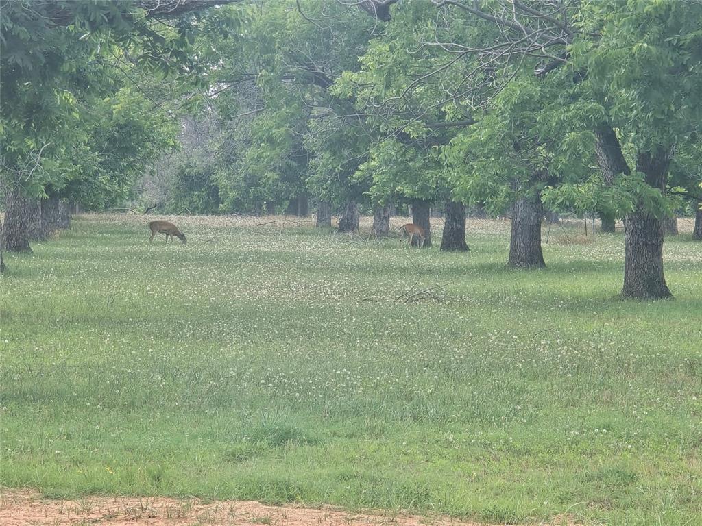 East Lake Ph 1 - Land