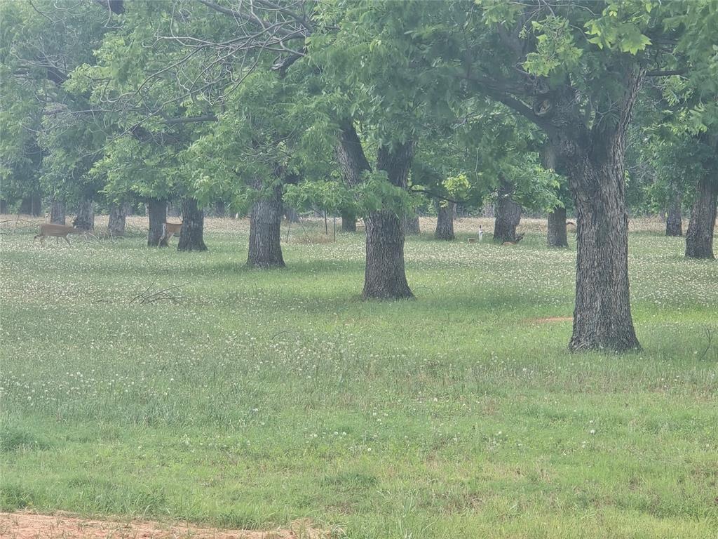 East Lake Ph 1 - Land
