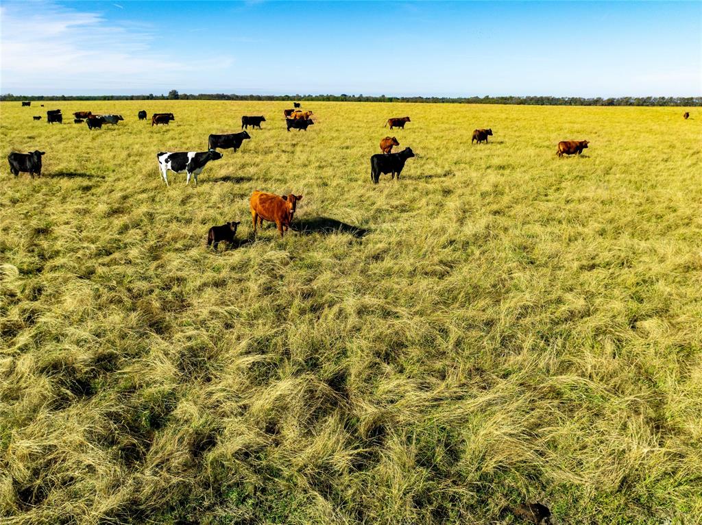 NA - Farm