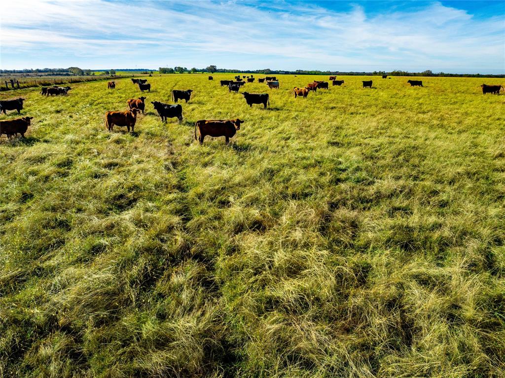 NA - Farm