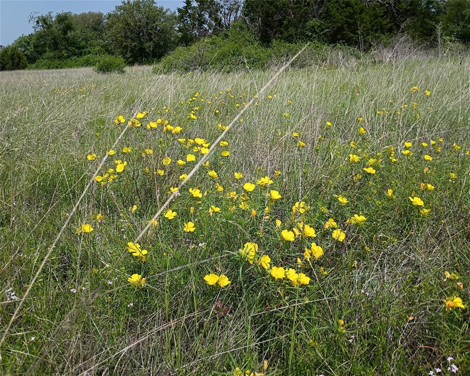 Logan Branch - Land