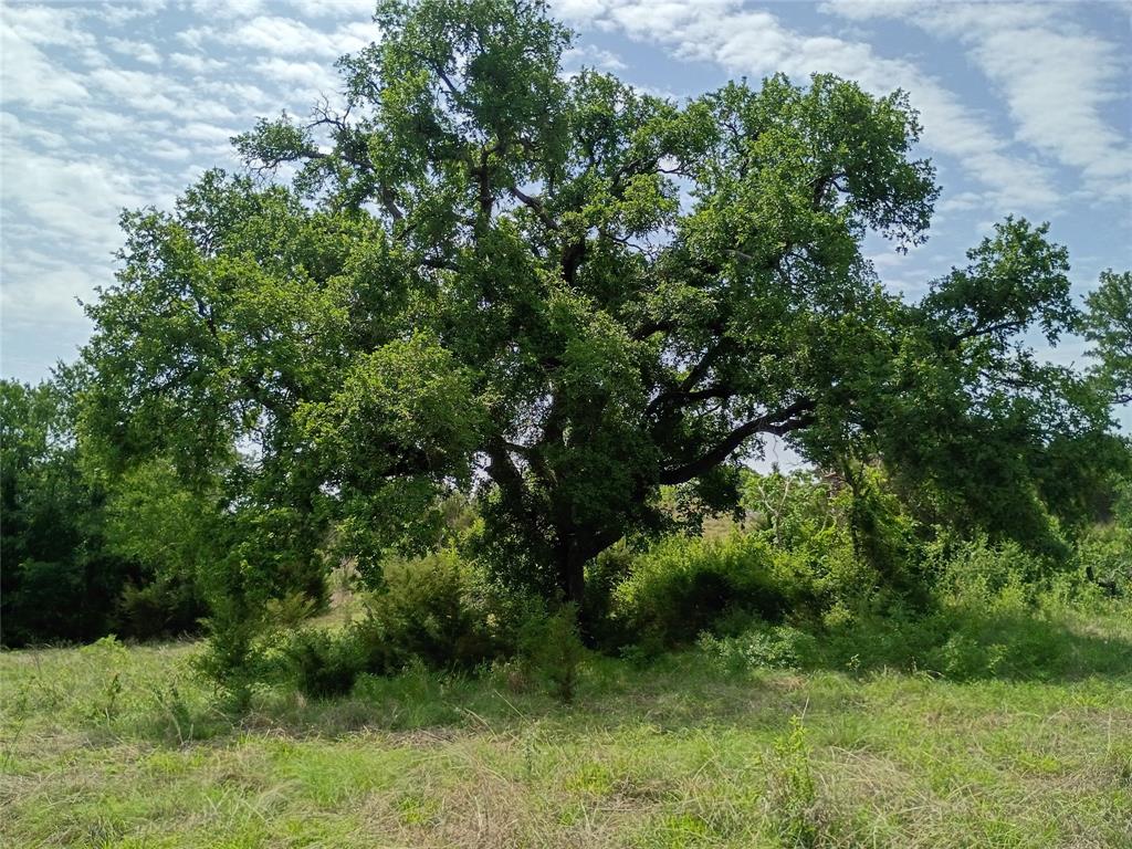 Logan Branch - Land
