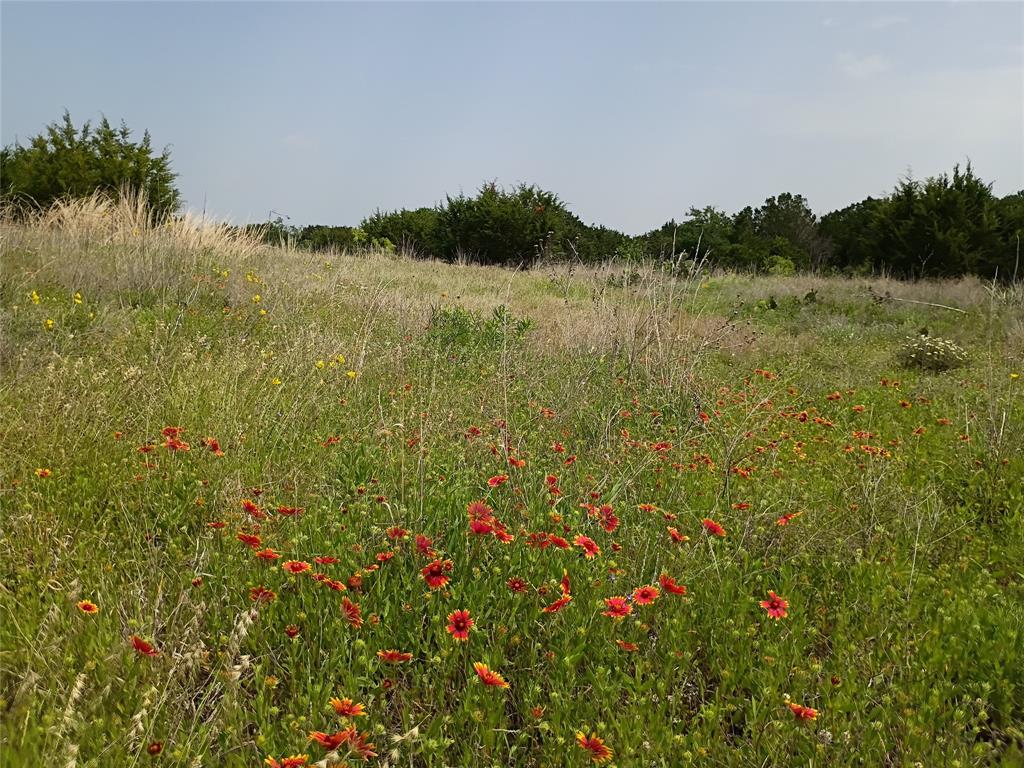 Logan Branch - Land