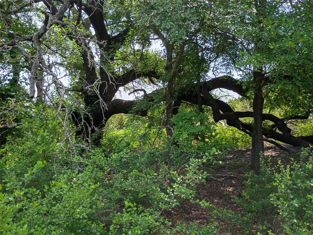 Logan Branch - Land