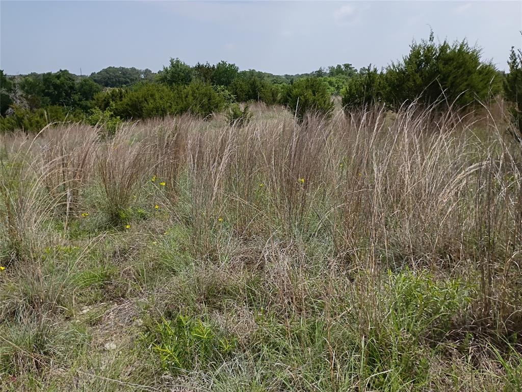 Logan Branch - Land