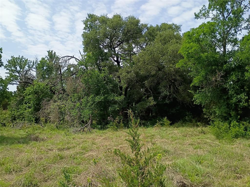 Logan Branch - Land