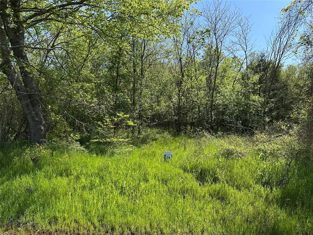 Bois D'Acre Lake Estates - Land