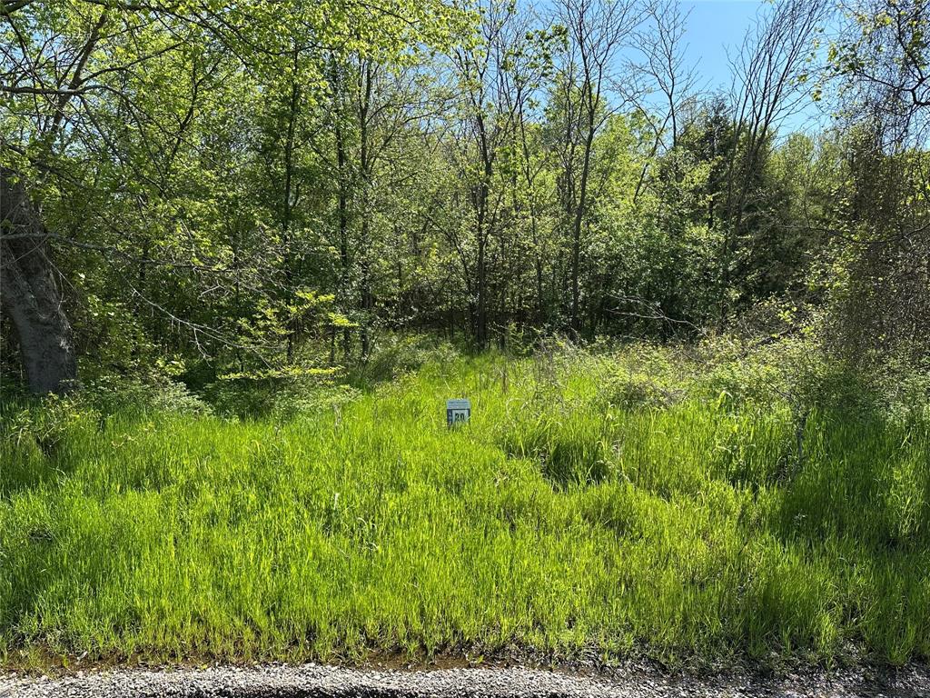 Rare Opportunity to purchase 5 acres of hard-to-find land near the brand-new Bois D Arc Lake. With the lake estimated to open in 2024, secure your property while it is still affordable. Bois D'Arc Lake Estates is offering introductory pricing on the first 10 lots sold before prices are raised 40% on the remaining 14 parcels. Beautiful, scattered hardwood trees on nice roads close to the public boat ramps on FM 897. Water is now available along FM 1743 parcels and will be extended to all parcels soon. These lots fall into the new lake zoning of 5-acre minimum parcels. 24 parcels in total are being offered in 5- and 10-acre configurations. TX.D.O.T. culvert permits have been submitted, and Water Will-Serve letters are in-hand. Septic is required. Lake is about 90% full and opens to boats soon. The lots are on the FUN side of the lake designed for recreational boating. Owner Lending, 15% Down, 10% Interest, 5 Year Note.