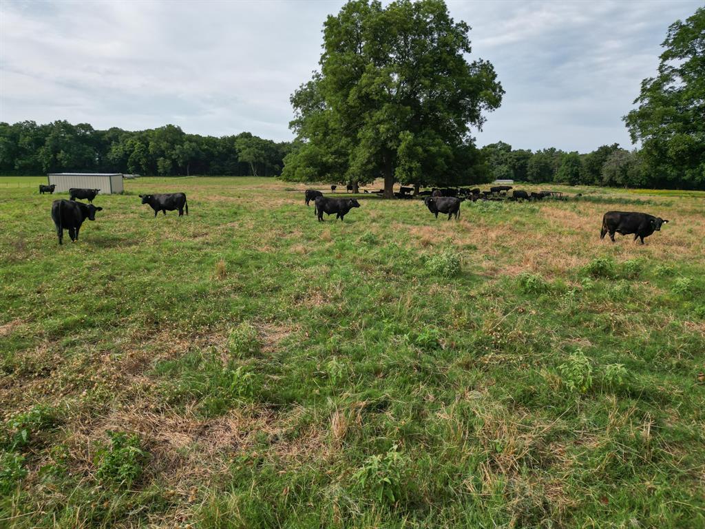 Smith - Farm
