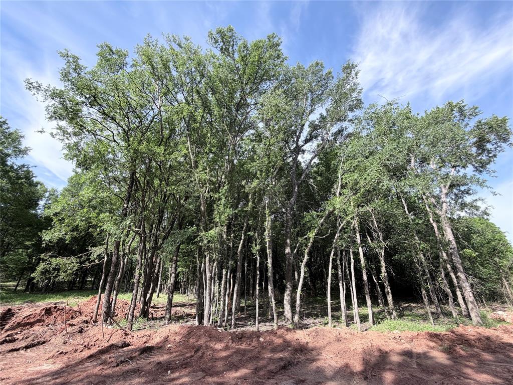 Located inside the city limits of Whitney, Lot 15 offers 3.10 acres with heavy tree cover, a potential tunnel-style driveway, and cleared build area. Situated in Lakewood Acres with gated access, chip sealed road, City water, and underground electric. Deed restrictions mirror City of Whitney standards. A quiet, private homesite with frequent wildlife sightings.