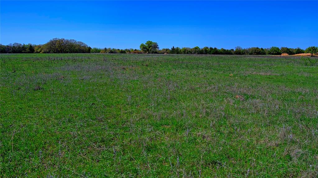 Hill CSL Survey - Land