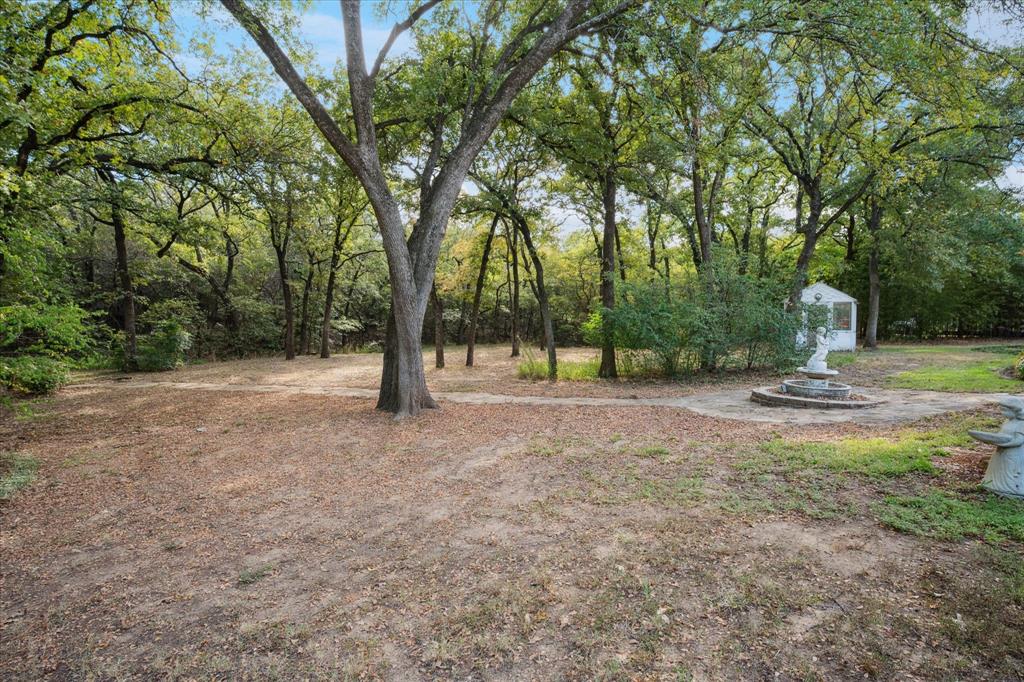 Freeman Samuel Survey - Land