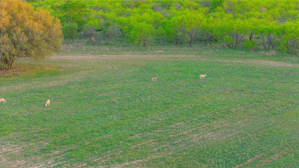 Rural - Land