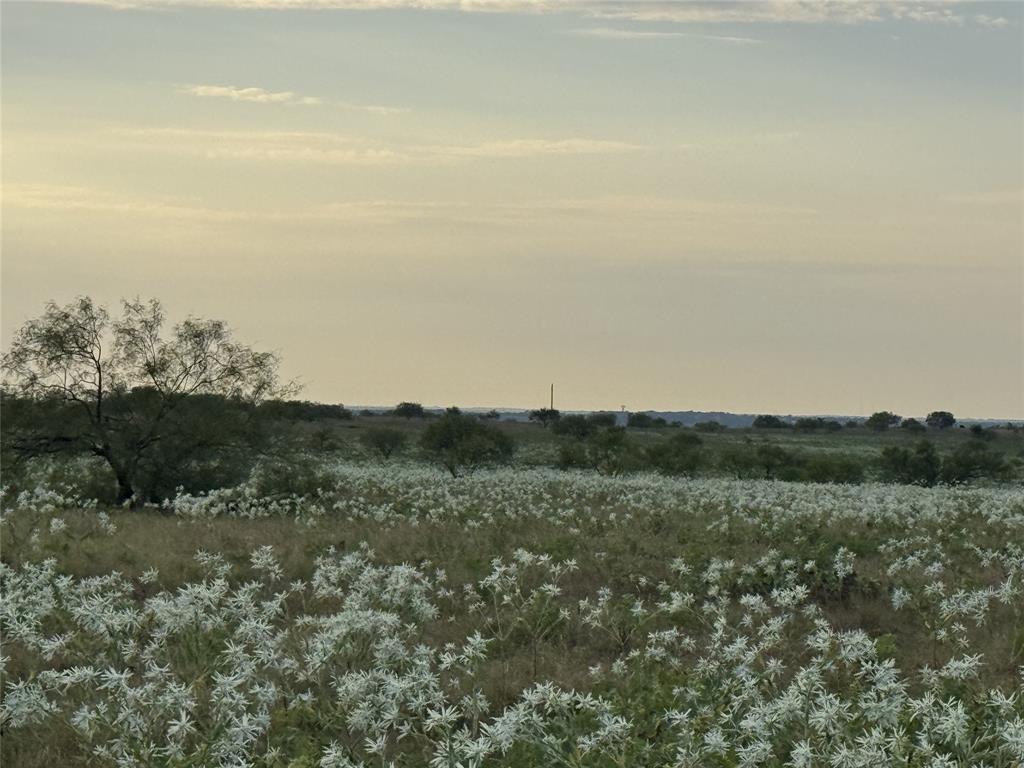 Mabel Estates Ph 2 - Land