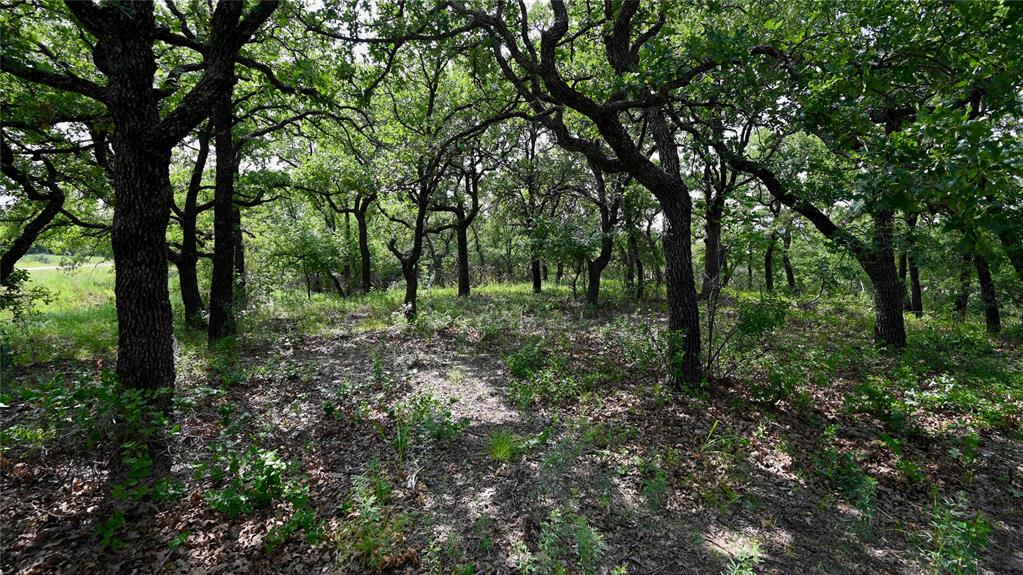 NOCONA HILLS - Land