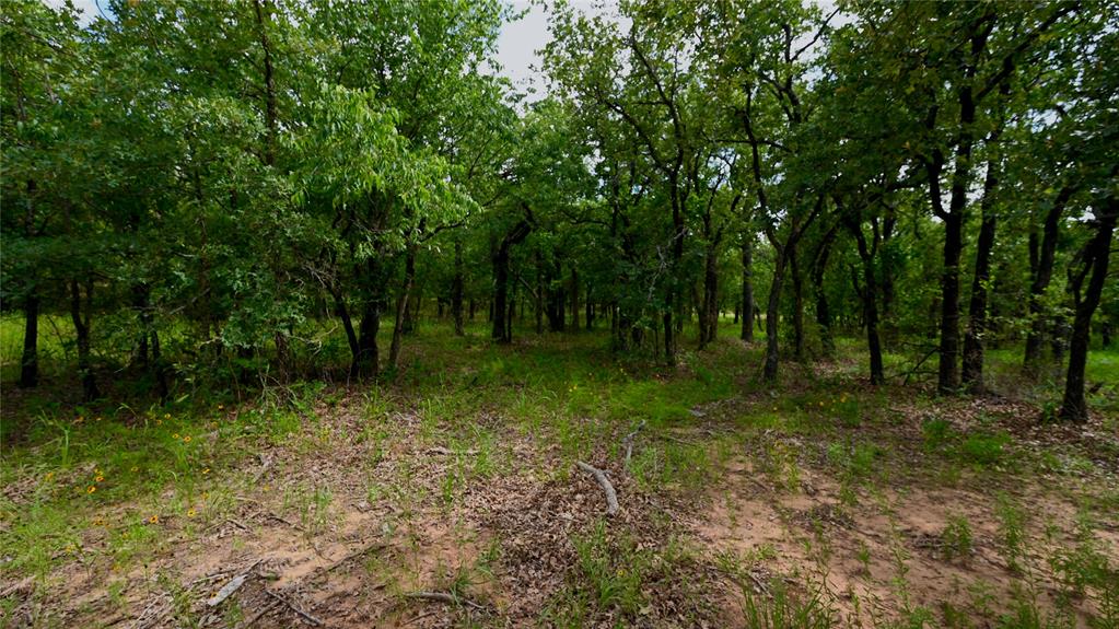 NOCONA HILLS - Land