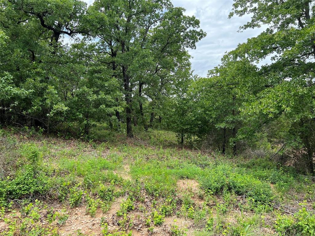 NOCONA HILLS - Land