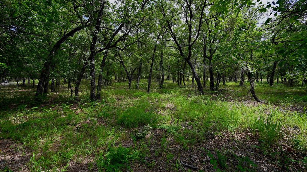 NOCONA HILLS - Land