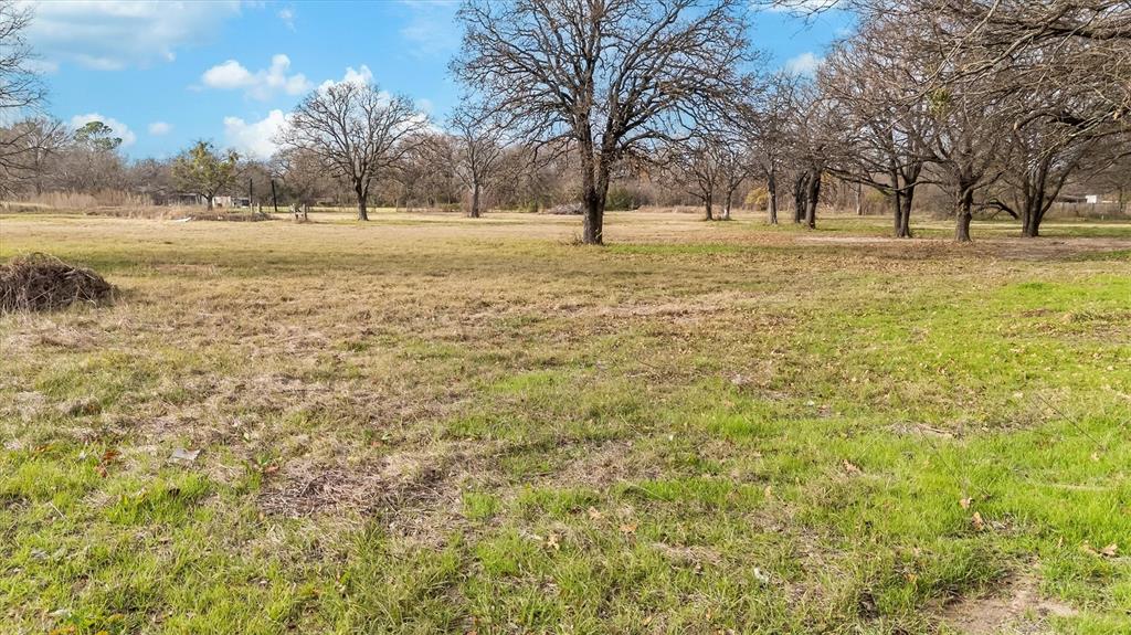 HICKORY TREE ESTATES - Land