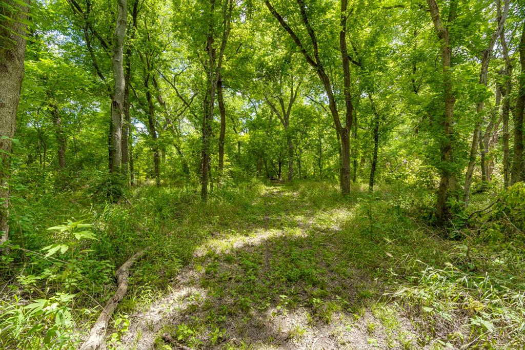 Pecan Valley - Land