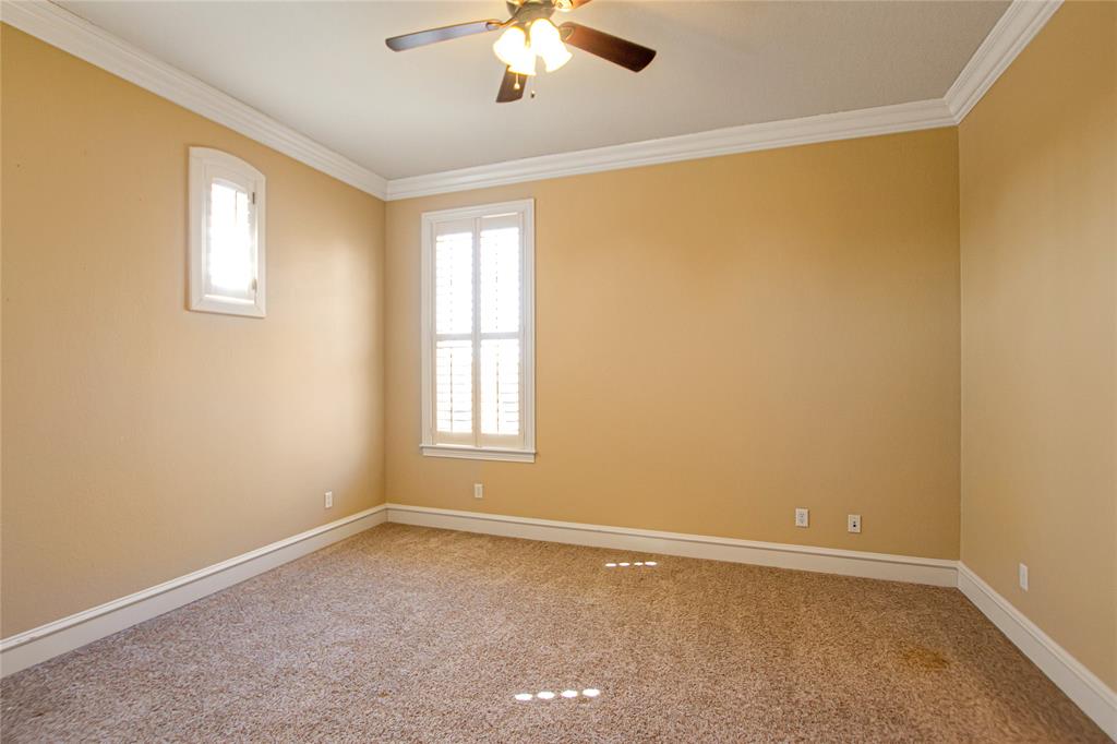 Hollytree - Residential